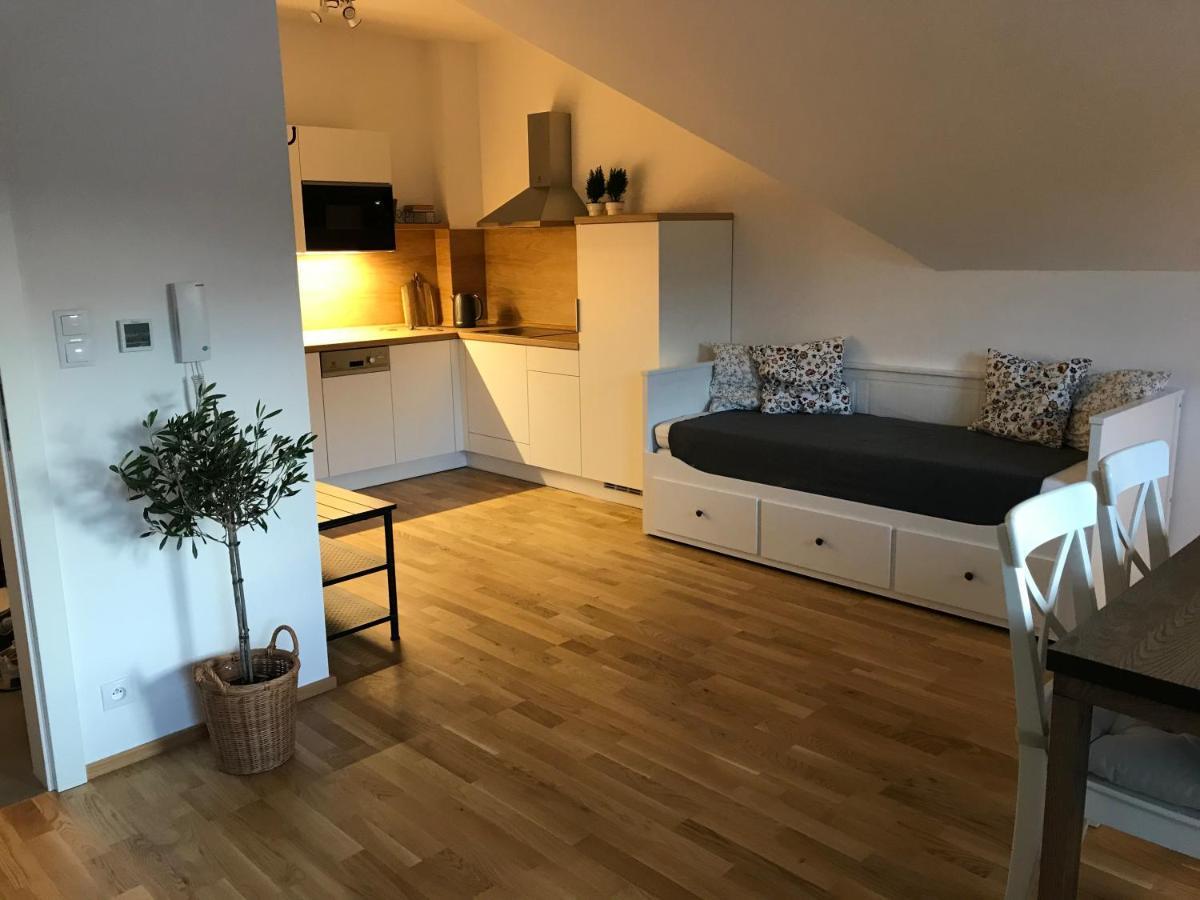 Ubytovani U Potoka Destne v Orlickych horach Exteriör bild