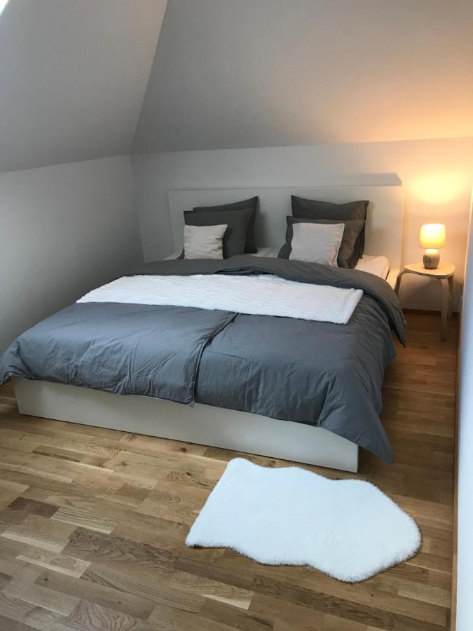 Ubytovani U Potoka Destne v Orlickych horach Exteriör bild
