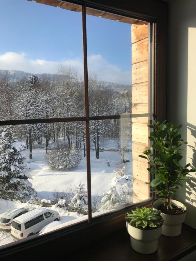 Ubytovani U Potoka Destne v Orlickych horach Exteriör bild