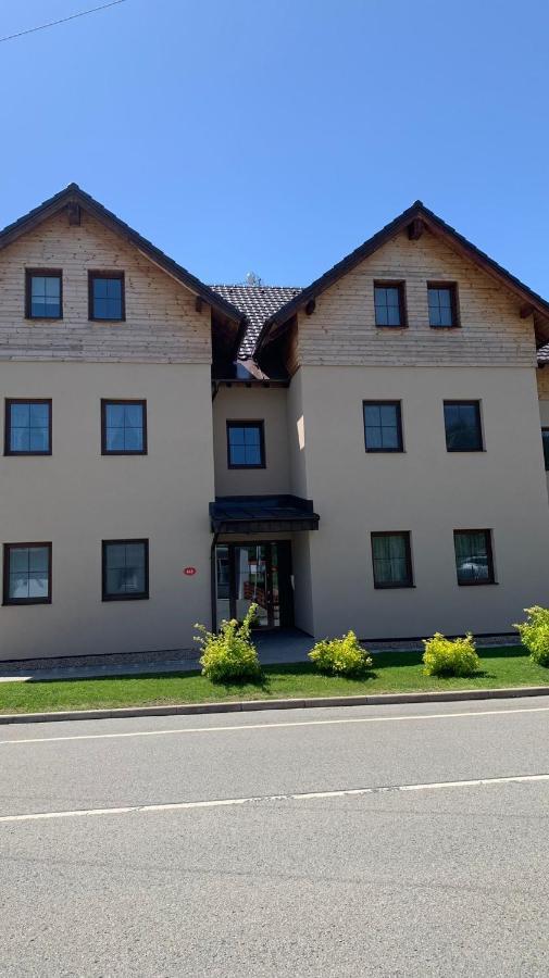 Ubytovani U Potoka Destne v Orlickych horach Exteriör bild