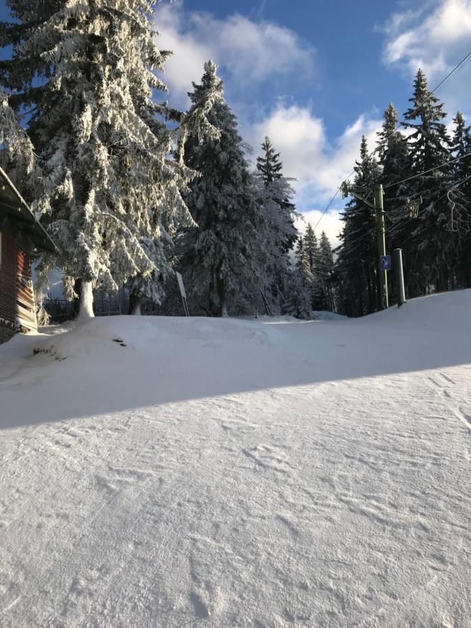 Ubytovani U Potoka Destne v Orlickych horach Exteriör bild