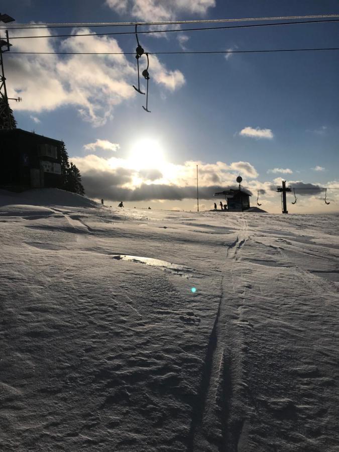 Ubytovani U Potoka Destne v Orlickych horach Exteriör bild