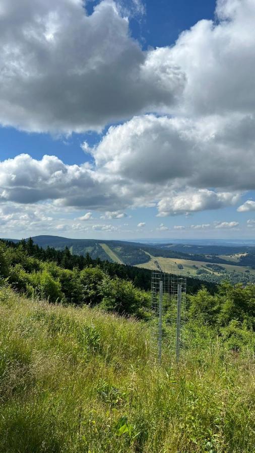 Ubytovani U Potoka Destne v Orlickych horach Exteriör bild